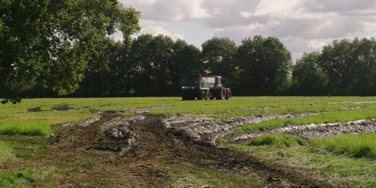 Etalant la vase dans le champ