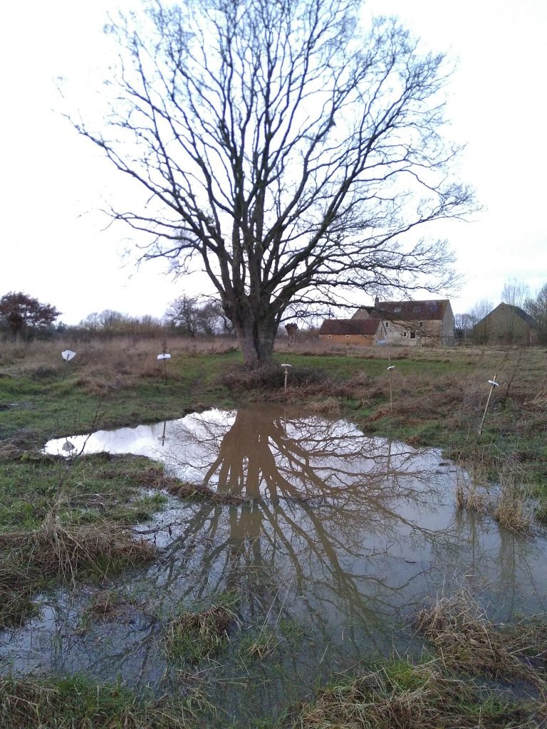 The second pond